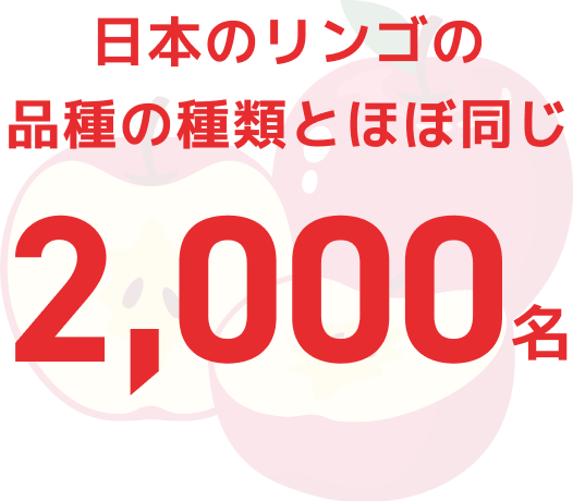 今までの入社人数